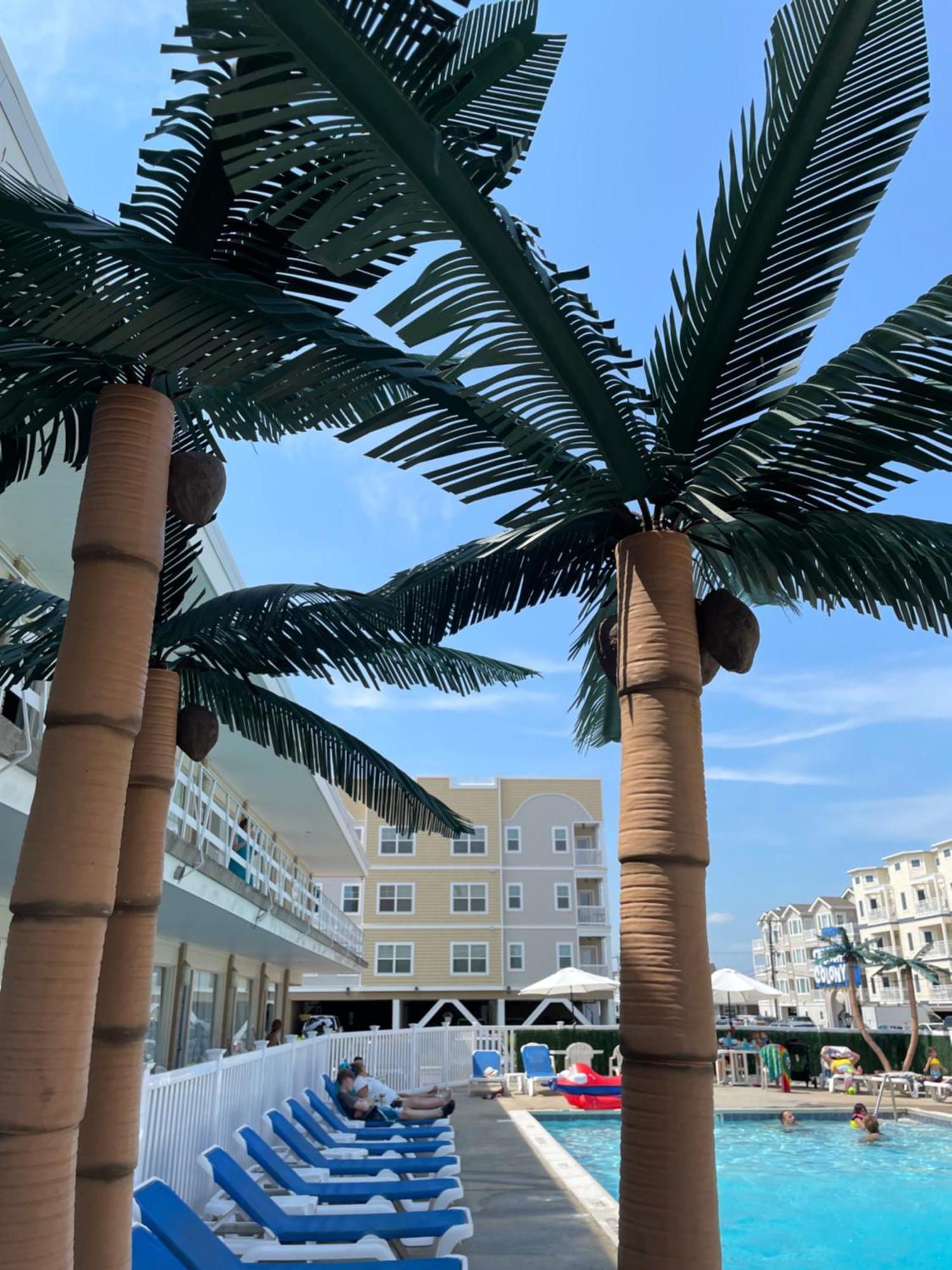 Beach Colony Motel Wildwood Crest Ngoại thất bức ảnh